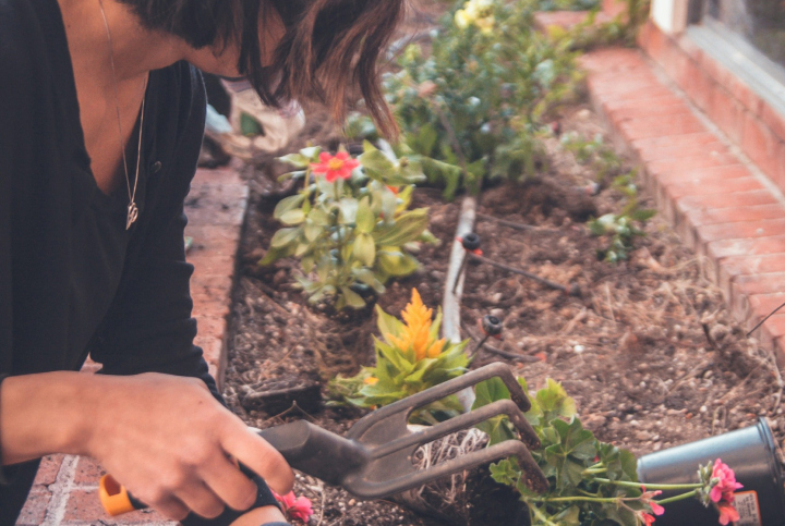 Woman gardening with a trowel.